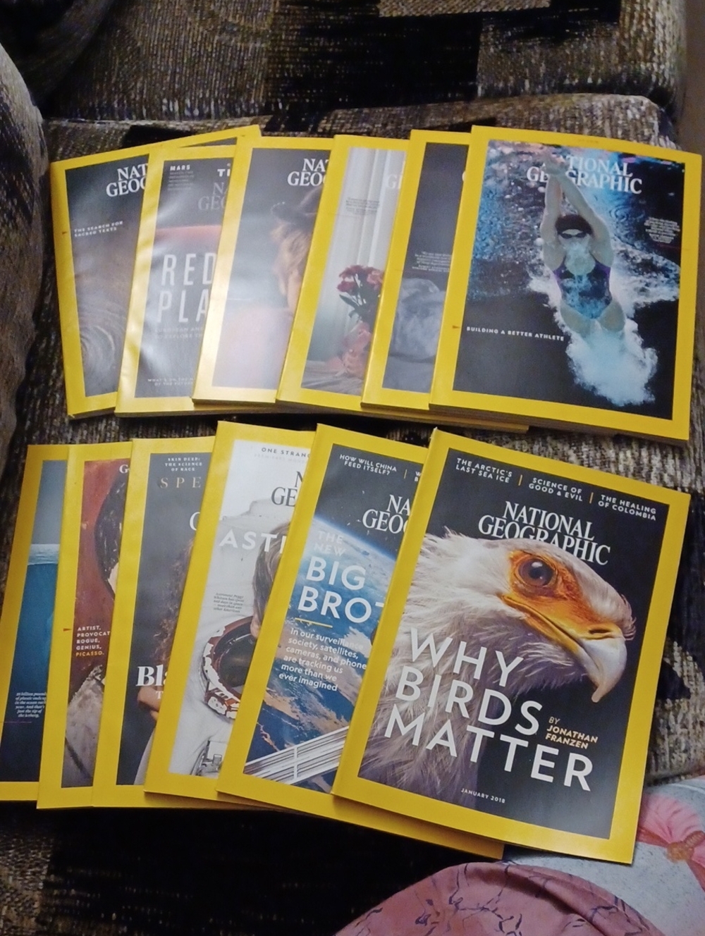 $4 Add-on 2018 National Geographic Magazines - $4 Each (12 Available)